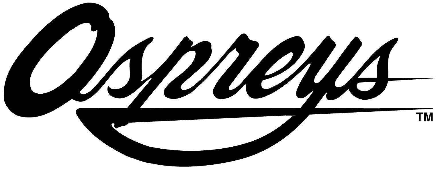 UNF Ospreys 0-1998 Wordmark Logo diy iron on heat transfer